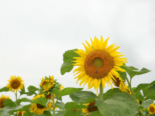 588904 (a): :1600x1200